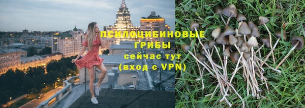 мяу мяу мука Сафоново