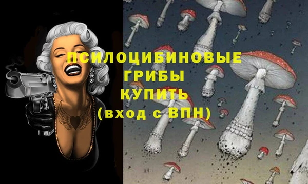 мяу мяу мука Сафоново